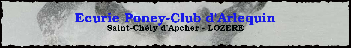 Ecurie Poney-Club d'Arlequin